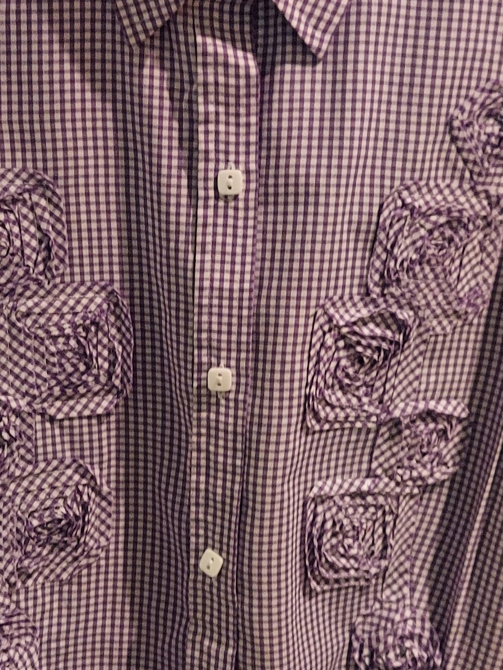 C J Banks Purple Gingham Checked Blouse - Picture 2 of 8